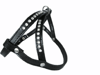 bitte darauf klicken