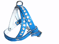 bitte darauf klicken