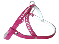 bitte darauf klicken