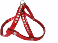 bitte darauf klicken