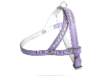 bitte darauf klicken