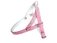 bitte darauf klicken