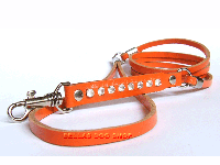 bitte darauf klicken