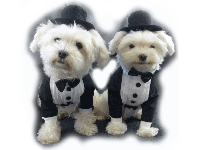 bitte darauf klicken