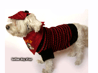 bitte darauf klicken